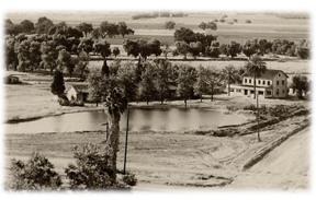 encinos